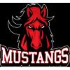 Mount Sinai High School